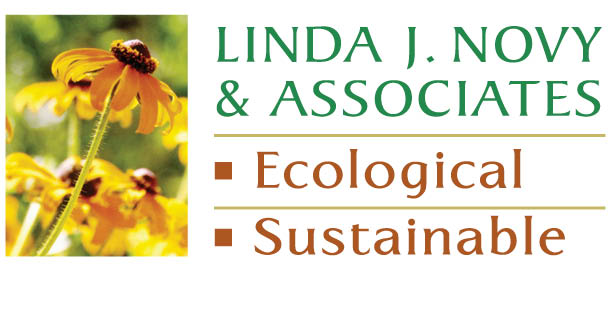 Linda J. Novy logo