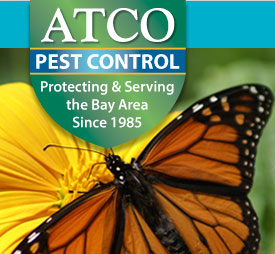 ATCO Pest Control Logo