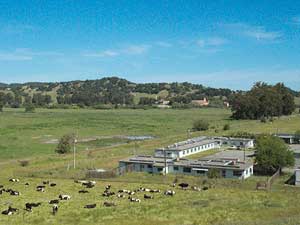 silveira