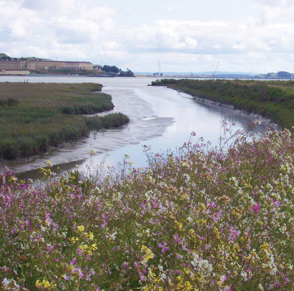 Corte Madera Ecological Reserve