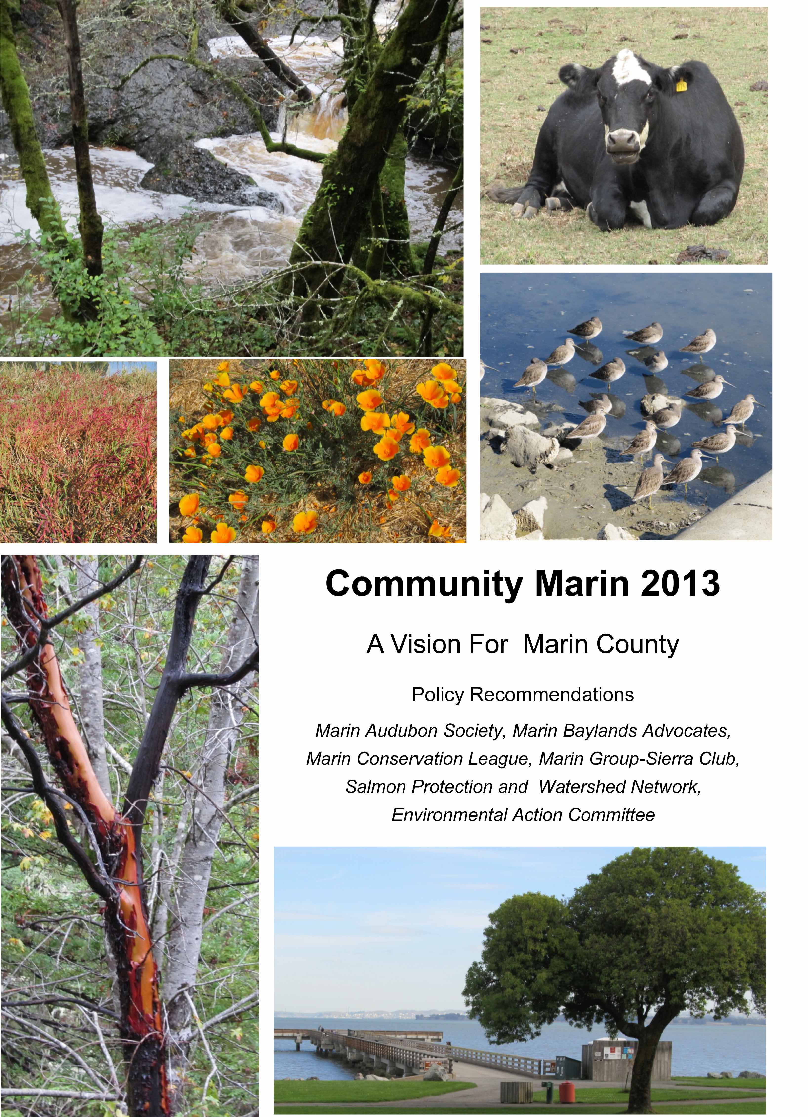 Community Marin cover