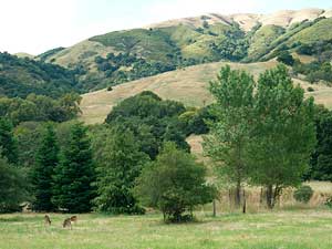 gradyranch_dpjpg