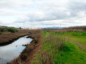 heerdtmarsh_dparker