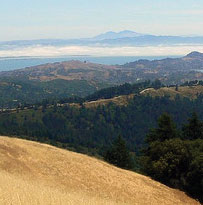 View of Mt. Diablo from Marin Open Space