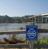 Petaluma Bridge