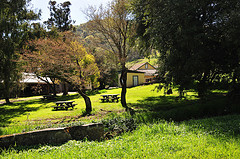 olompali2_freddavis_flickr