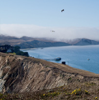 pt reyes drakes bay