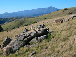 ringmtn_cproppe_flickr