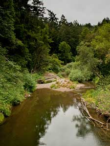 sptaylorcreek_bgrace