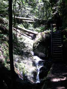 steepravine_dp