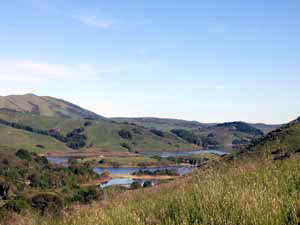 Nicasio Native Grass Ranch
